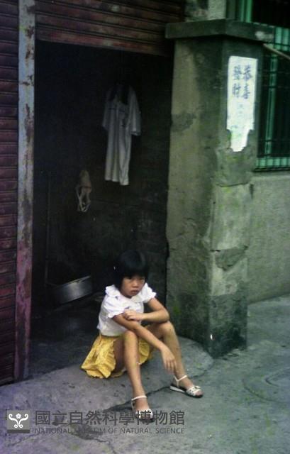 1950至2006年臺灣常民生活藏品圖，第1張