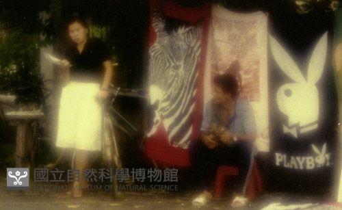 1950至2006年臺灣常民生活藏品圖，第1張