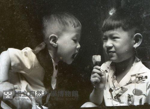 1950至2006年台灣常民生活藏品圖，第1張