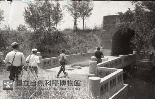 1950至2006年臺灣常民生活藏品圖，第1張