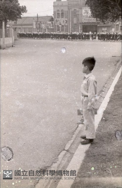 1950至2006年臺灣常民生活藏品圖，第1張