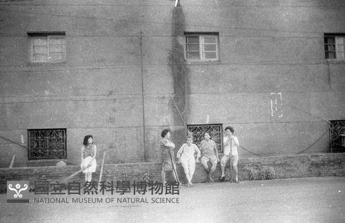 1950至2006年臺灣常民生活藏品圖，第1張