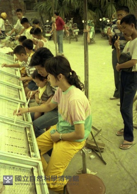 打彈珠（1950至2006年臺灣常民生活）藏品圖，第1張