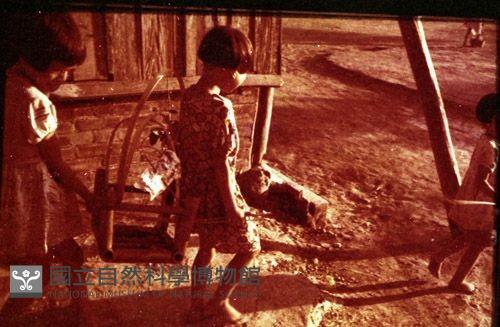 1950至2006年臺灣常民生活藏品圖，第1張