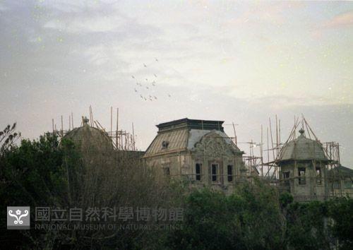 1950至2006年臺灣常民生活藏品圖，第1張