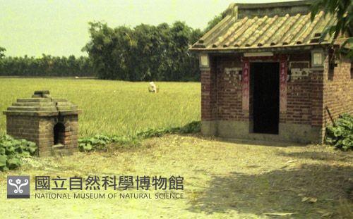 1950至2006年臺灣常民生活藏品圖，第1張