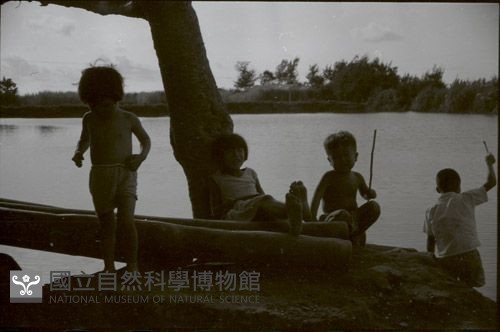 1950至2006年臺灣常民生活藏品圖，第1張