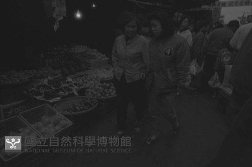 1950至2006年臺灣常民生活藏品圖，第1張