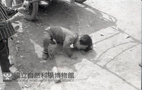 1950至2006年臺灣常民生活藏品圖，第1張