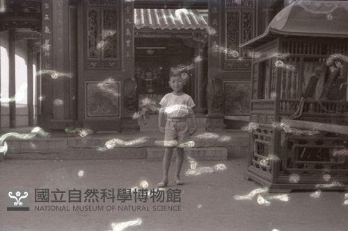 1950至2006年臺灣常民生活藏品圖，第1張