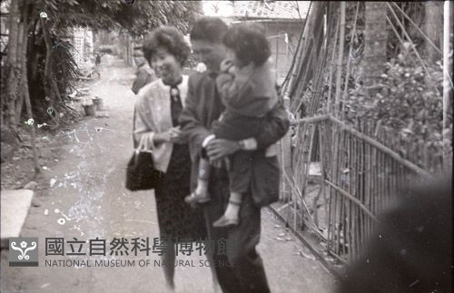 1950至2006年臺灣常民生活藏品圖，第1張