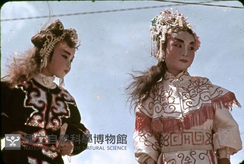 〈白蛇妖女〉（1950至2006年臺灣常民生活）藏品圖，第1張