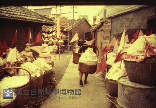 1950至2006年臺灣常民生活藏品圖，第1張