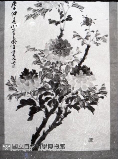 1950至2006年台灣常民生活(No:134-1 黑)藏品圖，第1張