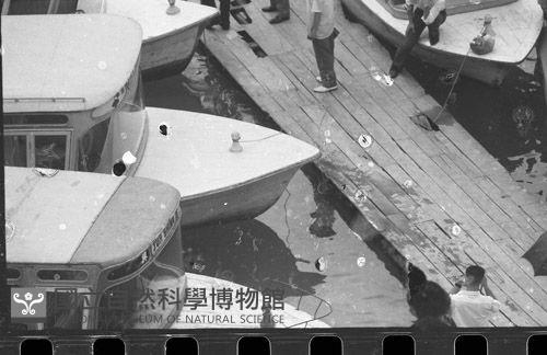 1950至2006年臺灣常民生活藏品圖，第1張