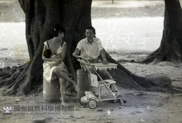 1950至2006年臺灣常民生活藏品圖，第1張