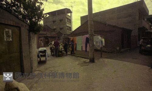 1950至2006年臺灣常民生活藏品圖，第1張