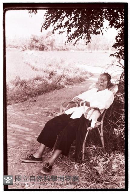 1950至2006年臺灣常民生活藏品圖，第1張