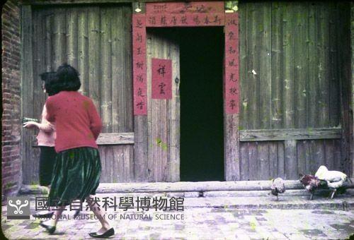 1950至2006年臺灣常民生活藏品圖，第1張