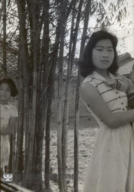 1950至2006年臺灣常民生活藏品圖，第1張