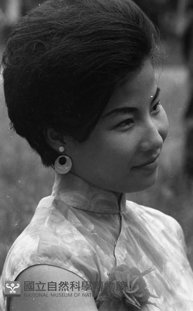1950至2006年臺灣常民生活藏品圖，第1張