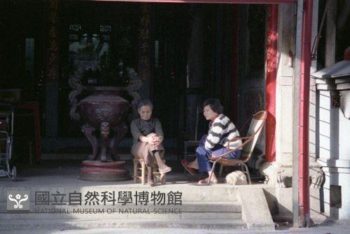 1950至2006年臺灣常民生活藏品圖，第1張