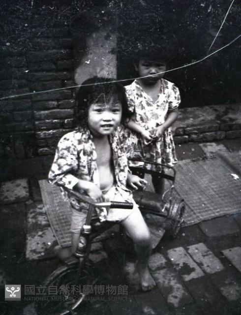 1950至2006年台灣常民生活藏品圖，第1張