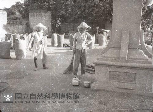 1950至2006年臺灣常民生活藏品圖，第1張