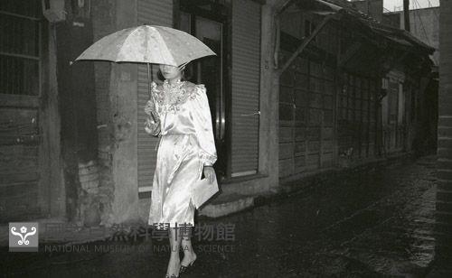 1950至2006年臺灣常民生活藏品圖，第1張
