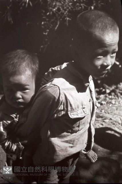 1950至2006年臺灣常民生活藏品圖，第1張