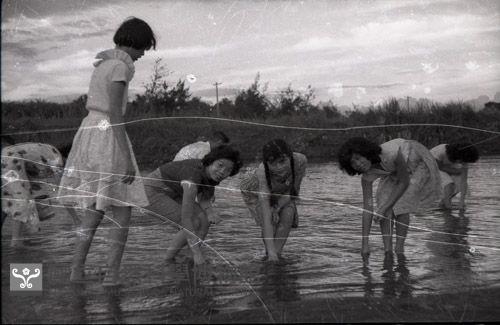 1950至2006年臺灣常民生活藏品圖，第1張