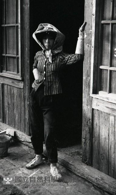 1950至2006年臺灣常民生活藏品圖，第1張