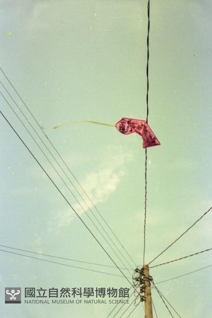 1950至2006年臺灣常民生活藏品圖，第1張
