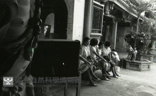 1950至2006年臺灣常民生活藏品圖，第1張
