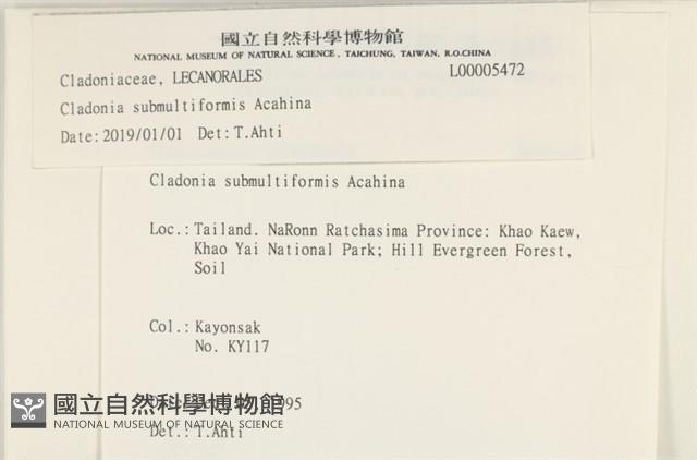 登錄號:L00005472藏品圖，第2張