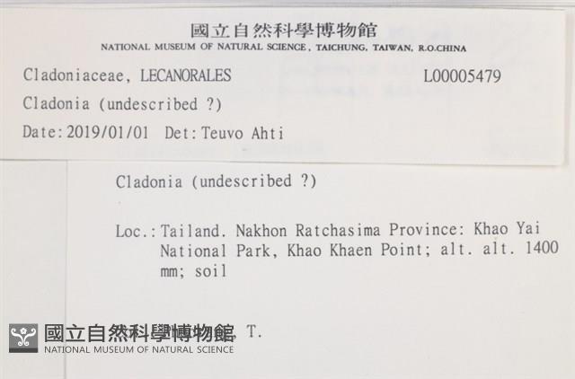 登錄號:L00005479藏品圖，第2張