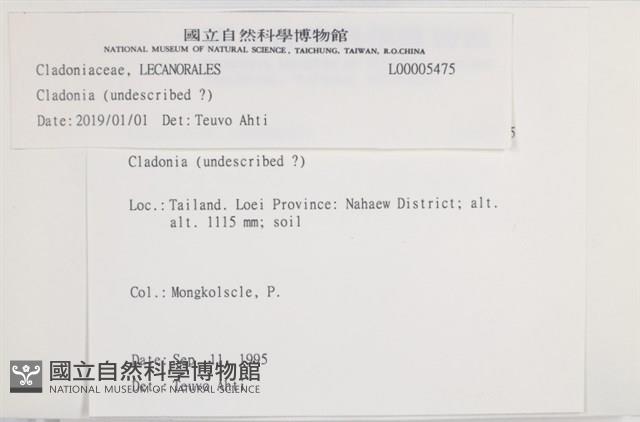登錄號:L00005475藏品圖，第2張