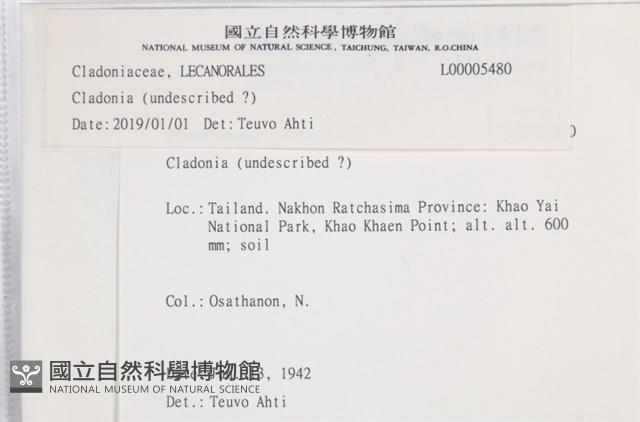 登錄號:L00005480藏品圖，第2張