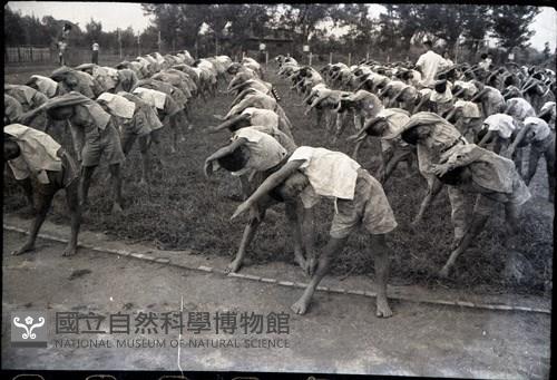 1950至2006年臺灣常民生活藏品圖，第1張