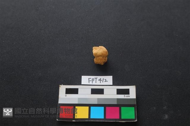 鹿骨藏品圖，第1張