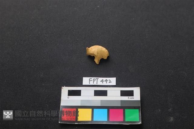 鹿骨藏品圖，第1張