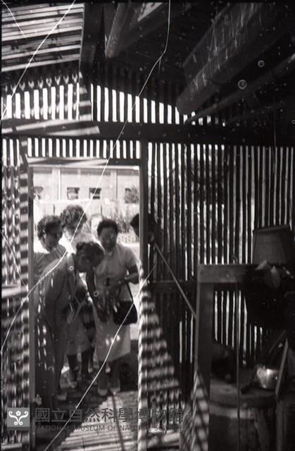 1950至2006年臺灣常民生活藏品圖，第1張