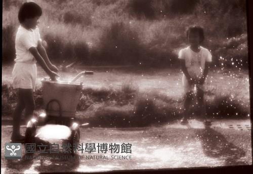 1950至2006年臺灣常民生活藏品圖，第1張