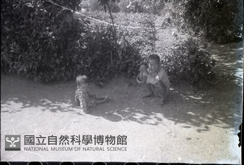 1950至2006年臺灣常民生活藏品圖，第1張