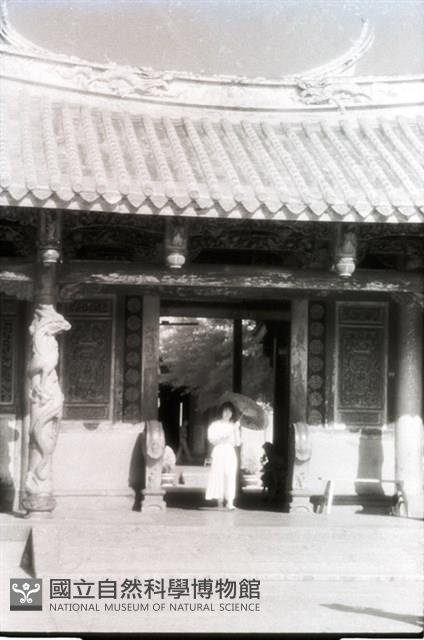 1950至2006年臺灣常民生活藏品圖，第1張