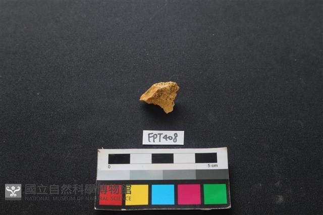 鹿骨藏品圖，第1張