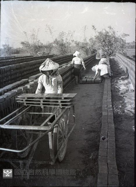 1950至2006年臺灣常民生活藏品圖，第1張