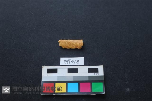 鹿骨藏品圖，第1張