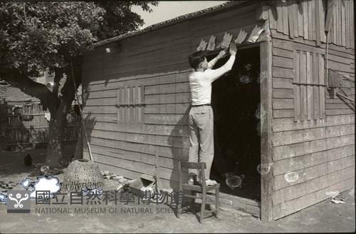 1950至2006年臺灣常民生活藏品圖，第1張