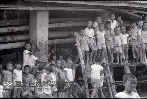 1950至2006年臺灣常民生活藏品圖，第1張